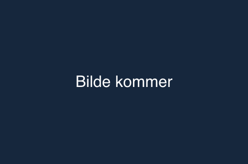 bilde-kommer